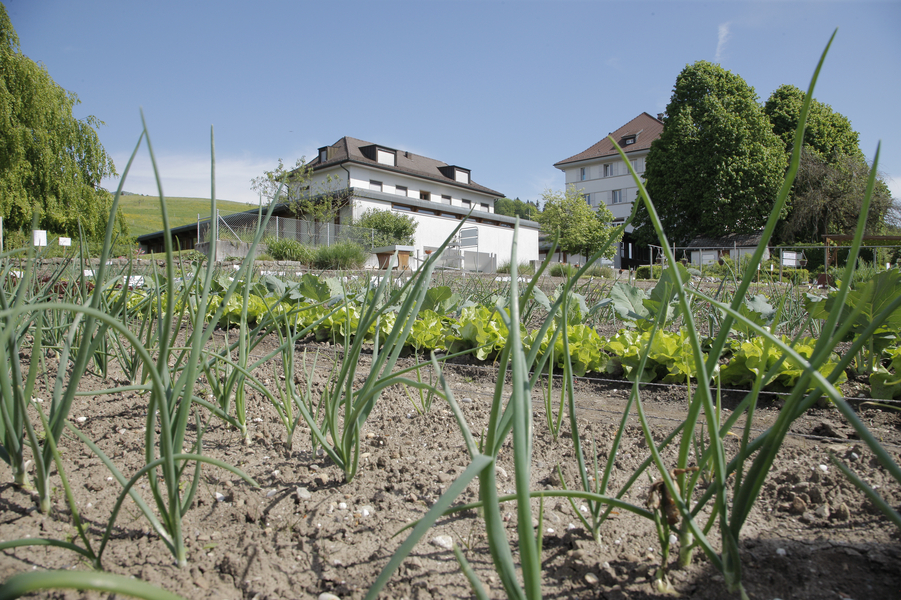 Schulen der Stadt Solothurn Online: Fotogalerien