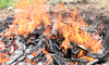 Feuer mit Kohle.