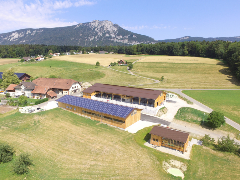 Gutsbetrieb Wallierhof Gutsbetrieb Wallierhof