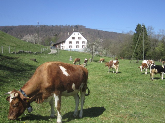 Betrieb Himmelsbach David, Bärschwil Betrieb Himmelsbach David, Bärschwil.