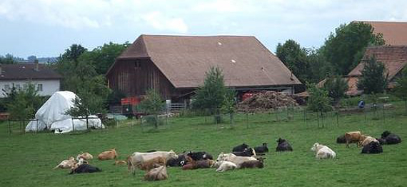 Betrieb Fluri Eddi, Selzach Betrieb Fluri Eddi, Selzach