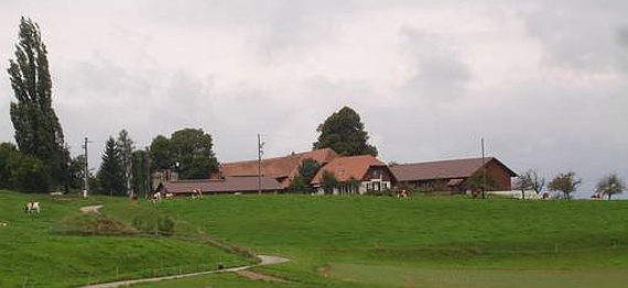 Betrieb Widmer Franz-Josef, Steinhof Betrieb Widmer Franz-Josef, Steinhof.
