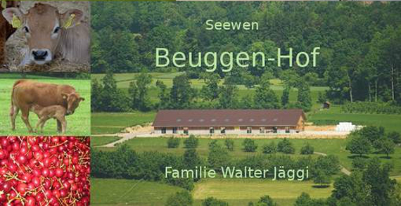 Betrieb Jäggi Walter, Seewen Collage vom Betrieb Jäggi Walter, Seewen.