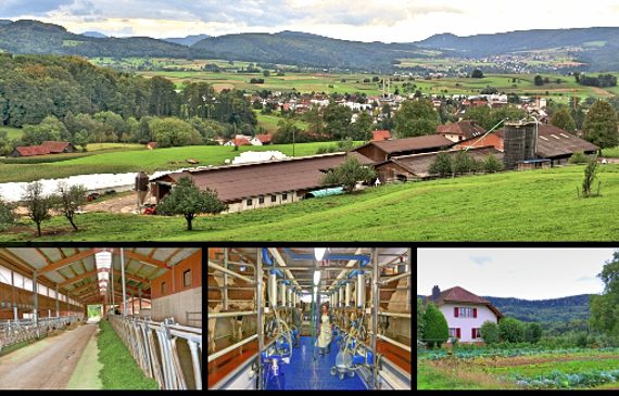 Betriebsgemeinschaft Lindenberger Katrin und Martin, Breitenbach Collage Betriebsgemeinschaft Lindenberger Katrin und Martin, Breitenbach.