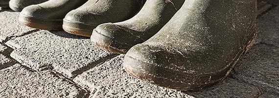 Wallierhof Formation agricole Bauernstiefel nebeneinander aufgereiht.